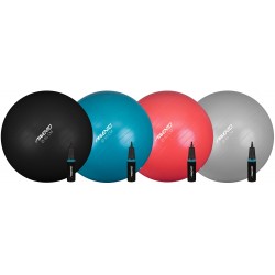 SWISS BALL AVEC POMPE - M - 65 CM