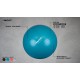 SWISS BALL M - 65 CM