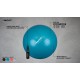 SWISS BALL AVEC POMPE - M - 65 CM