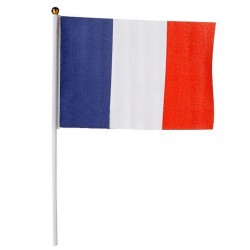 DRAPEAU FRANCE AVEC BAGUETTE 30 X 45 CM