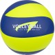 BALLON DE VOLLEYBALL - MATCH PRO