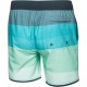 BOARDSHORT HOMME