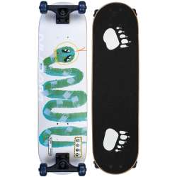 SKATEBOARD ROOKIE