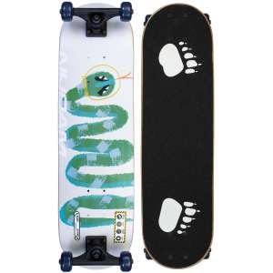 SKATEBOARD ROOKIE
