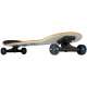 SKATEBOARD ROOKIE