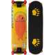 SKATEBOARD ROOKIE
