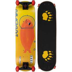 SKATEBOARD ROOKIE