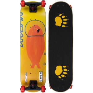SKATEBOARD ROOKIE