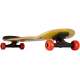 SKATEBOARD ROOKIE