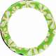 DIVE RINGS - ANNEAUX LESTES