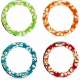 DIVE RINGS - ANNEAUX LESTES