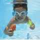 DIVE TOYS - POISSONS LESTES