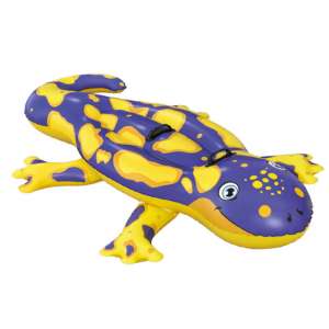 SALAMANDRE AVEC POIGNEES