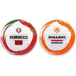 BALLON FOOTBALL - LION FORCE