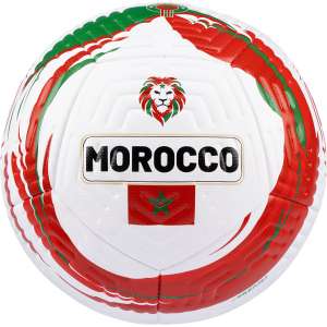 BALLON FOOTBALL - LION FORCE