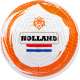 BALLON FOOTBALL - LION FORCE