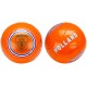 BALLON FOOTBALL EURO